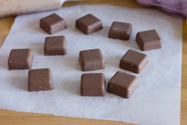 Bonbons au chocolat et praliné