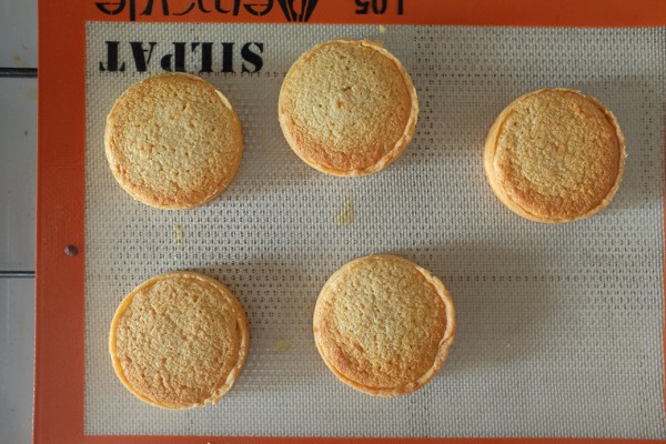 Tartelettes à l'abricot